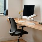Branch Daily Desk Chair