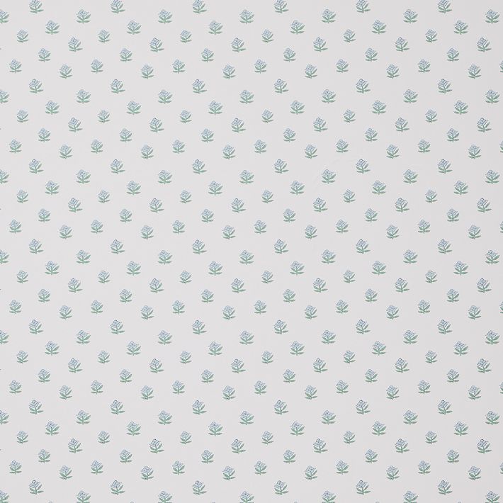 Begonia Wallpaper
