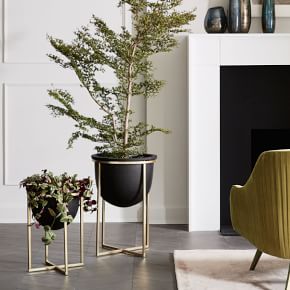 Eden Cross Base Standing Planter, Tall, 16.5"D. x 13"H, Black/Brass