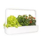 The Smart Garden LED Grow Set