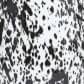Black Splatter