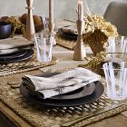 Lucia Wide Rim Dinner Plate Sets