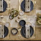 Lucia Wide Rim Dinner Plate Sets