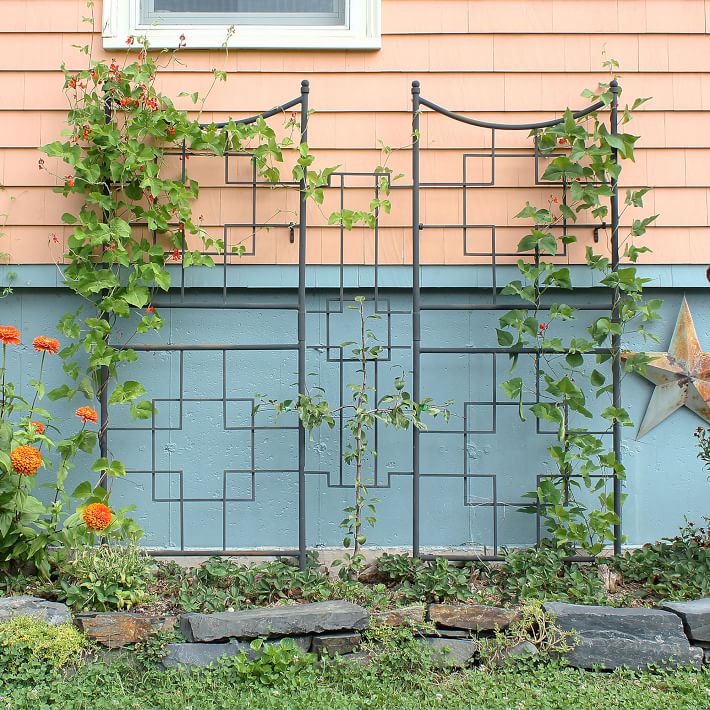 Square Iron Trellis