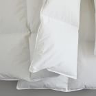 European Down Duvet Insert