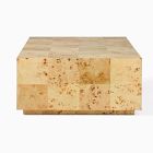 Volume Burl Coffee Table (50&quot;) 