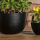 Imogen Iron Tabletop Planters