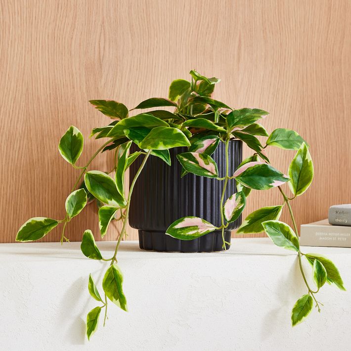 Faux Potted Hoya Plant