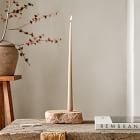 Faux Siberian Elm Branch