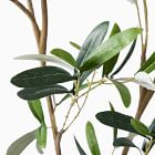 Faux Potted Black Olive Tree