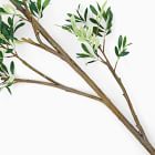 Faux Black Olive Branch