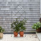 Iron Lattice Trellis
