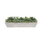 Faux Potted Succulents w/ Planter