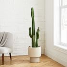 Faux Potted Cactus Plant &amp; Large Bishop Planter Bundle