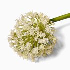 Faux Allium Branch