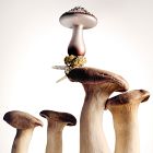 Clip-On Mushroom Ornaments