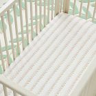 Joseph Altuzarra Vine Stripe Crib Sheet