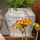 Urn Planters