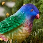 Glass Parakeet Clip-On Ornament