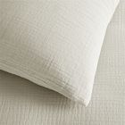 Dreamy Gauze Cotton Duvet Cover &amp; Shams