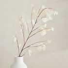 Faux Lunaria Branch