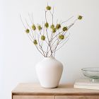 Dried Mountain Laurel w/ Moss Branch