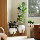 Ilya Turned Wood Planters