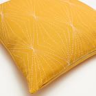 Anchal Project Prism Pillow