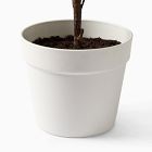 Faux Potted Wire Netting Bush Plant