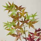 Faux Maple Leaf Stem