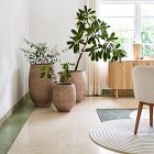 Curved Ficonstone Indoor/Outdoor Planters