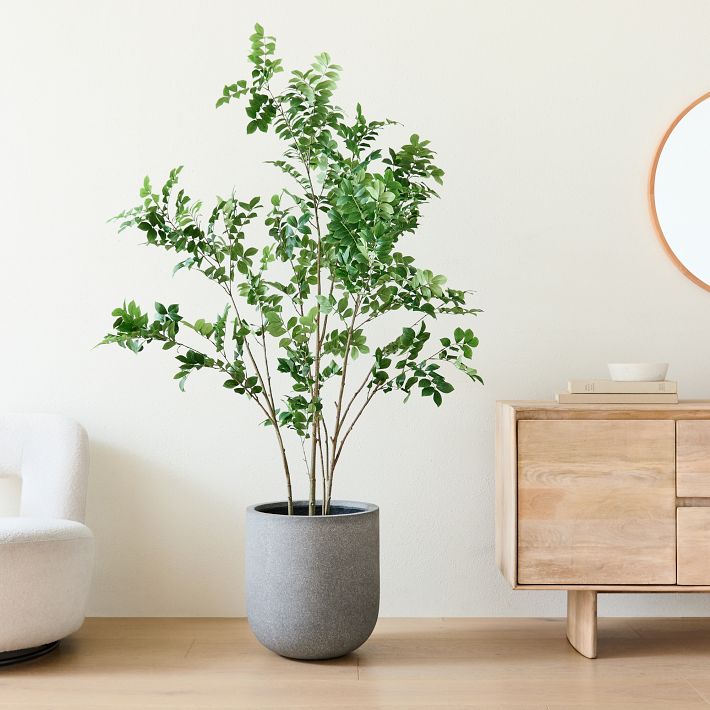 Faux Potted Green Leaf Tree &amp; Radius Planter Bundle
