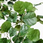 Faux Potted Ficus Tree