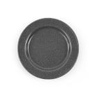 Crow Canyon Stinson Speckle Enamel Dinner Plates (Set of 4)