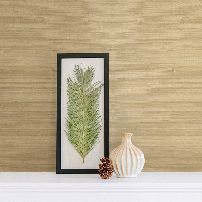 Natural Cream Grasscloth Wallpaper