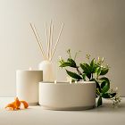 West Elm Homescent Collection - Jasmine &amp; Lily