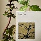 West Elm Homescent Collection - Mint Tea