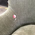 Open Box: Briar Chair