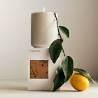 West Elm Homescent Single Wick Candle - Citrus Pine