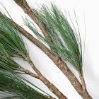 Faux Long Needle Pine Branch