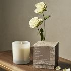 Alura Boxed Glass Candle - Rose