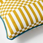 Check Pop Indoor/Outdoor Pillow