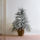 Faux Flocked Pre-Lit Tree