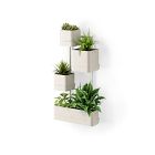 Cubiko Wall Planter