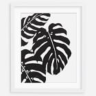 Living Pattern Framed Print - Monstera Deliciosa Trio