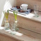 Canopy Trio 5" Recycled Glass Vases (Set of 3)