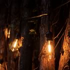 Solar LED String Lights