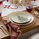Sadie Stripe Napkin Sets