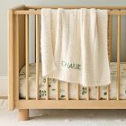 Fuzzy Cozy Baby Blanket