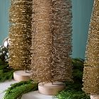 Champagne Bottlebrush Trees